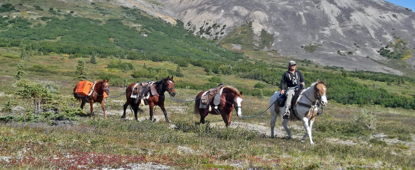 Hunt AK Outfitters — photo 4