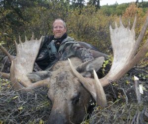 bull_moose_hunt_alaska_outfitters