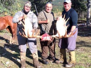 hunt_moose_alaska_guide