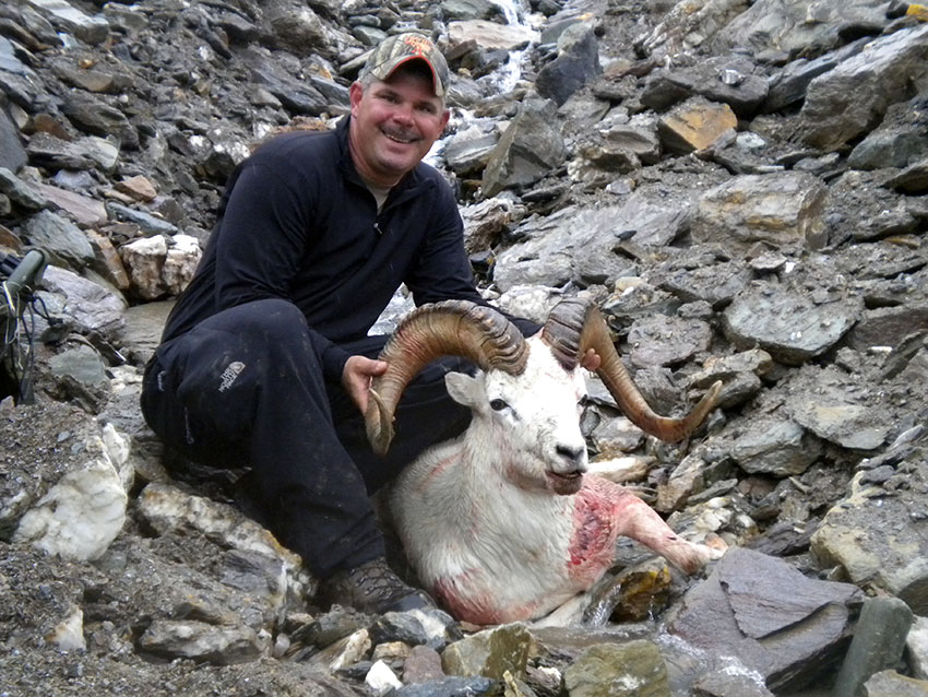 dall-sheep-hunt-guides-alaska